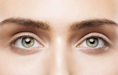 woman looking at camera Woman Eyes Close Up, Natural Makeup, Young Girl Beauty Face, Eye Eyebrow Closeup